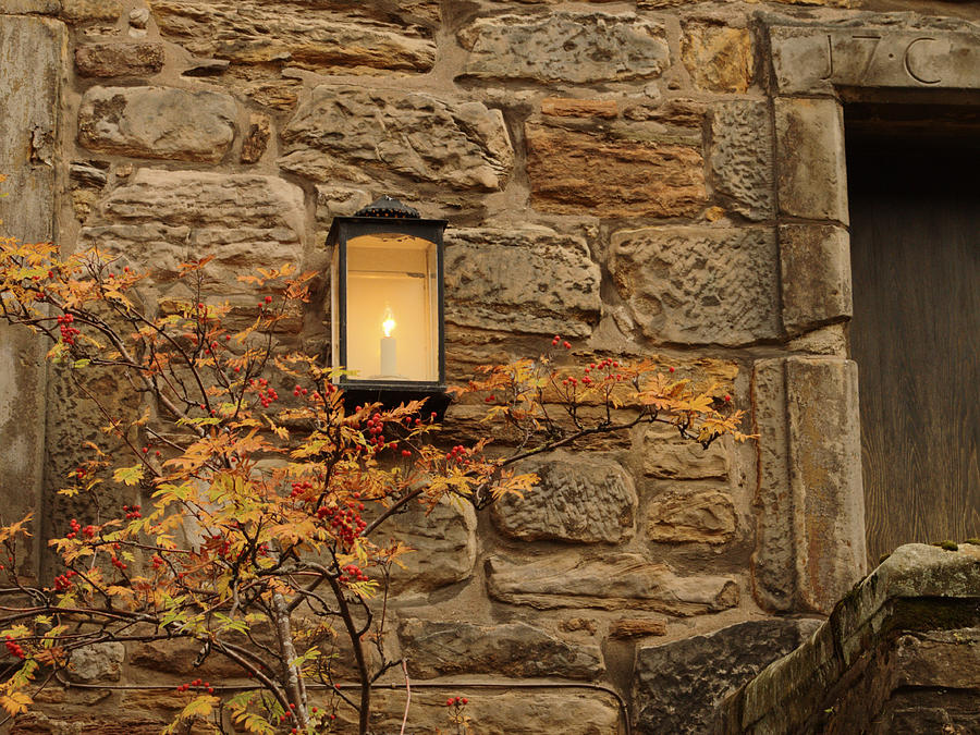 Lamp In Autumn Photograph by Adrian Wale