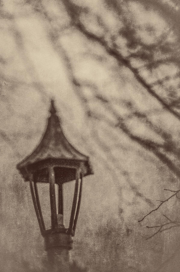 Lamp in Winter w Tree Branches Photograph by YoPedro