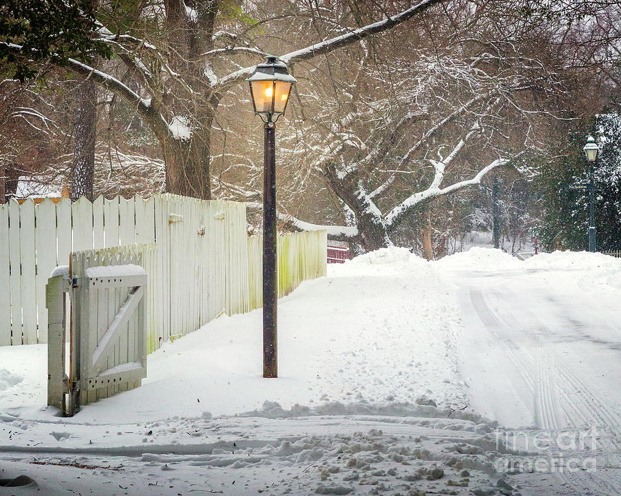 Lamp Light in Winter Photograph by Karen Jorstad
