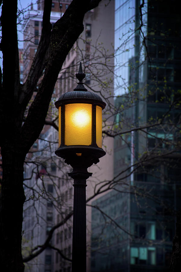 Lamp Light Photograph by Mark Andrew Thomas
