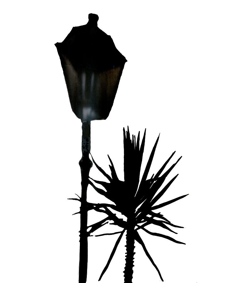 Lamp Light Digital Art by Roy Pedersen