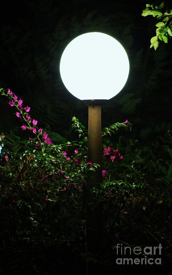 Lamp Post Photograph by Craig Wood