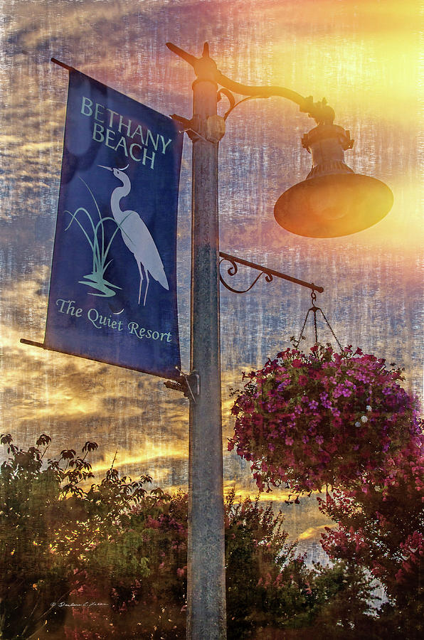 Sunset Digital Art - Lamp Post by Darlene Freas