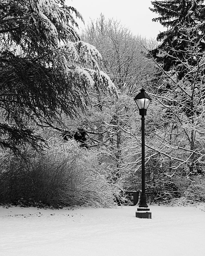 Lamp Post in Winter - B/W Photograph by William Selander