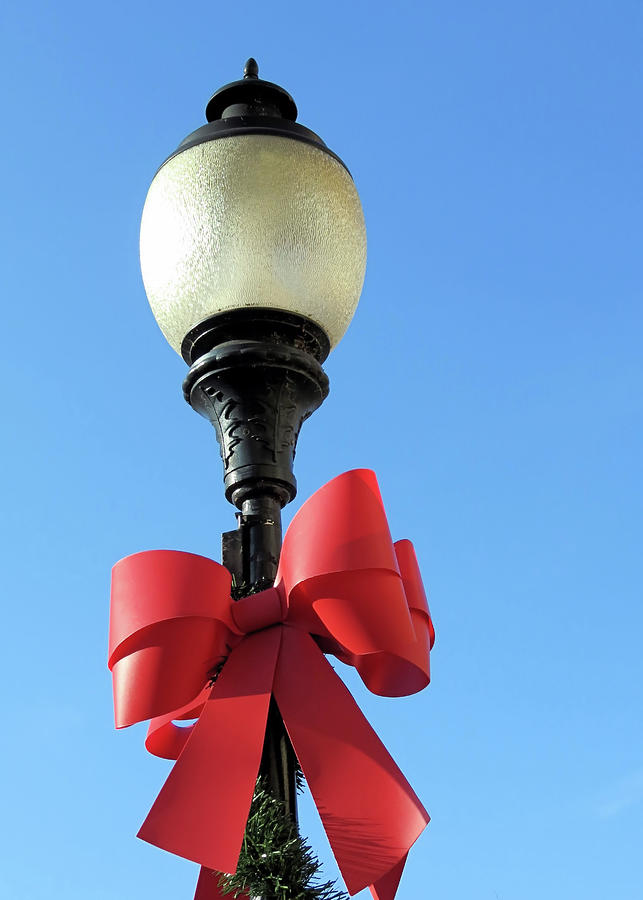 Lamp Post with Red Bow Photograph by Janice Drew