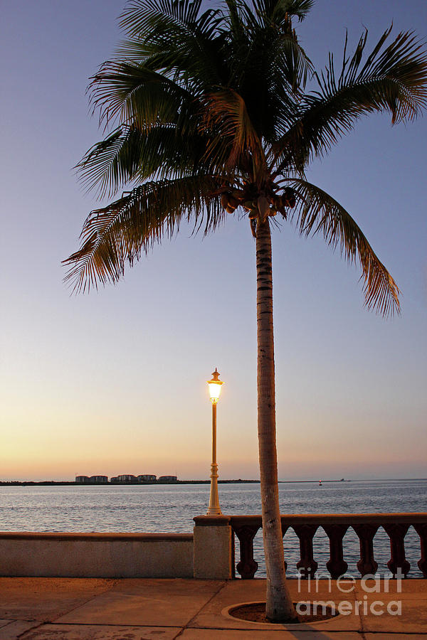 Lamplight on the Malecon Photograph by Becqi Sherman