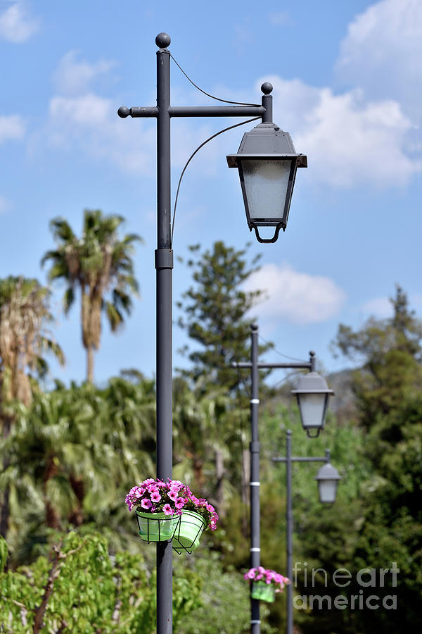 Lampost with flowers in Nafplio town Photograph by George Atsametakis