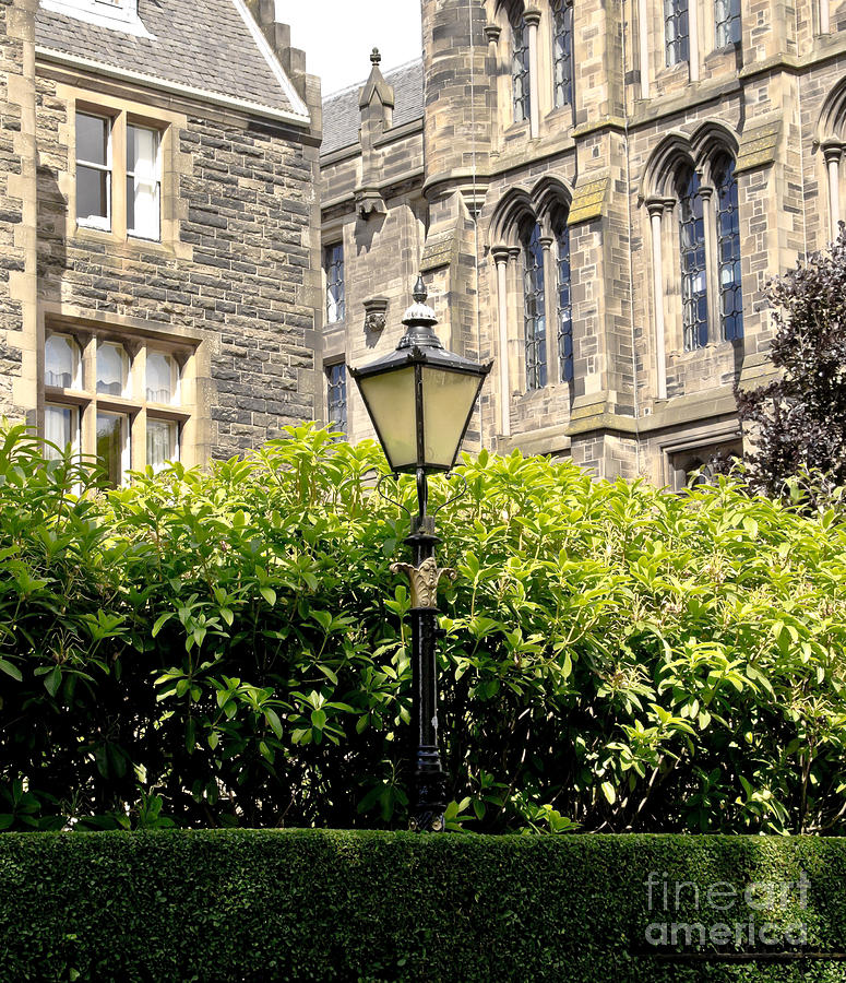 Lamppost in front of green bushes and old walls. Photograph by Elena Perelman