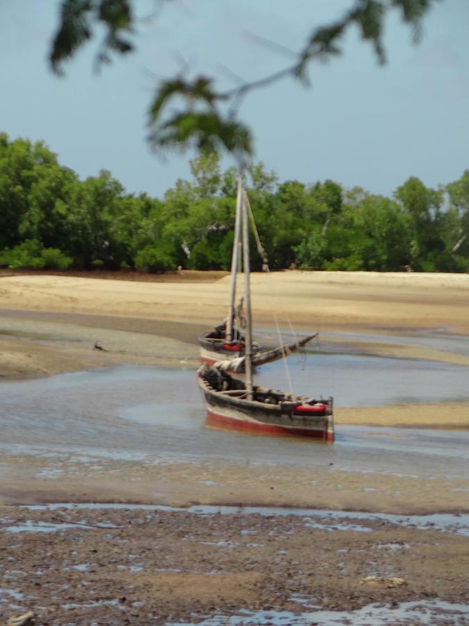 Unschooling Photograph - Lamu Island - wooden fishing dhows at low tide 1 by Exploramum Exploramum