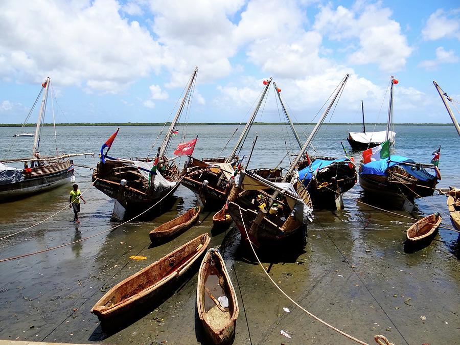 Unschooling Photograph - Lamu Island - wooden fishing dhows at low tide by Exploramum Exploramum