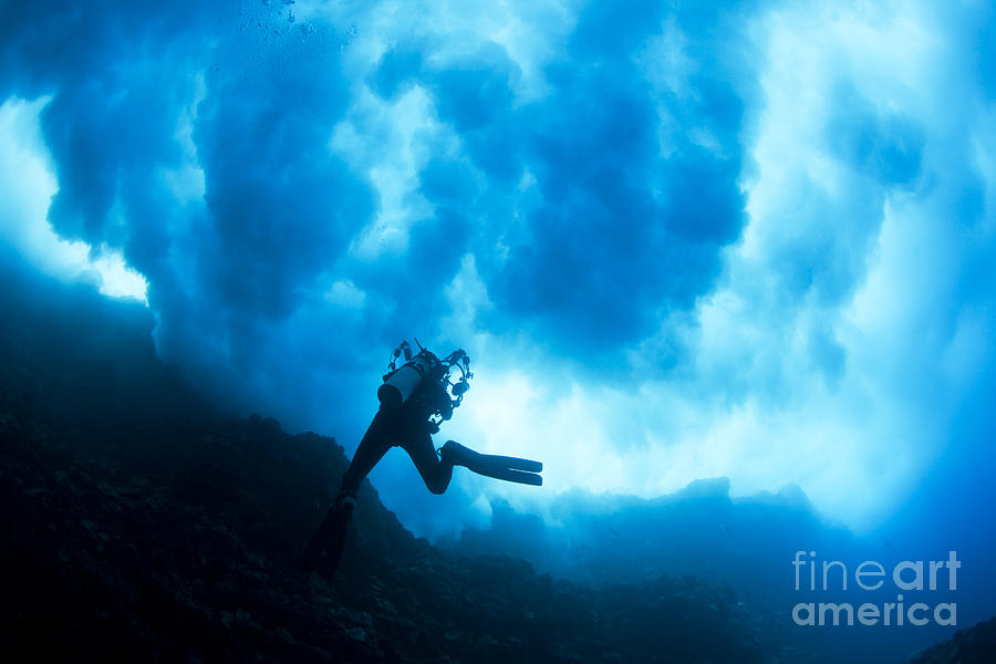 Lanai Diver Photograph by Dave Fleetham - Printscapes