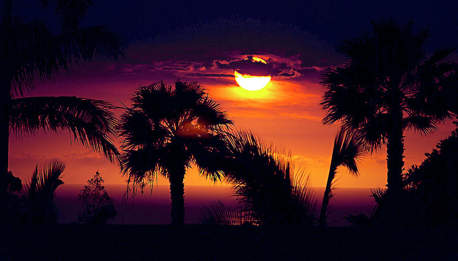 Lanai Sunset Photograph by Bette Phelan