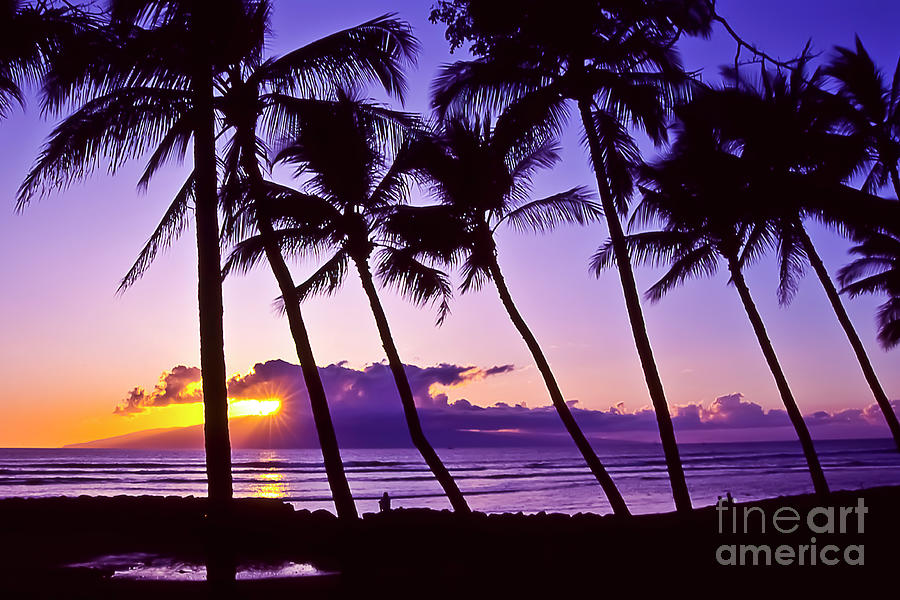 Lanai Sunset Photograph by Jim Cazel