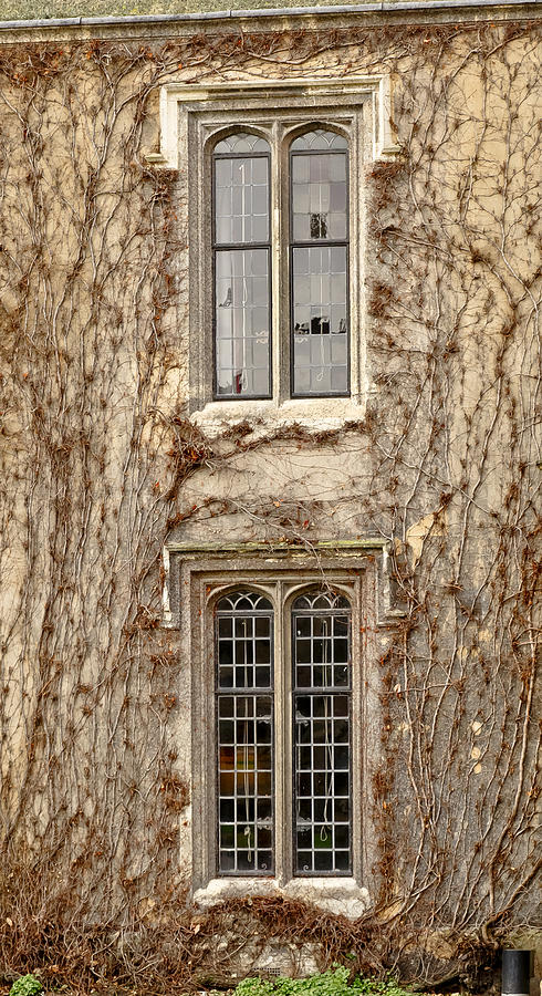 Lancet windows and climbers around them. Winter time. Photograph by Elena Perelman