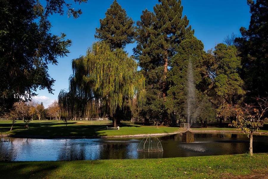 Sacramento Photograph - Land Park In Sacramento by Mountain Dreams