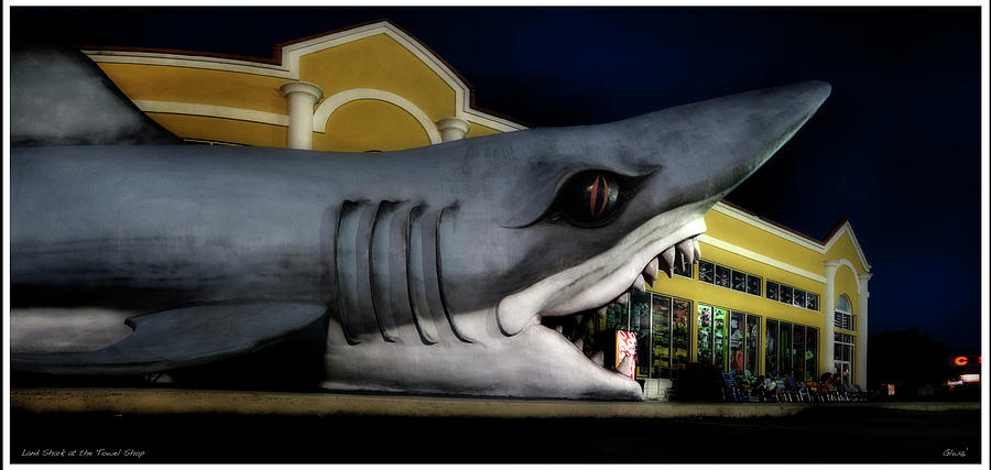Land Shark at the beach towel shop Photograph by Gary Warnimont