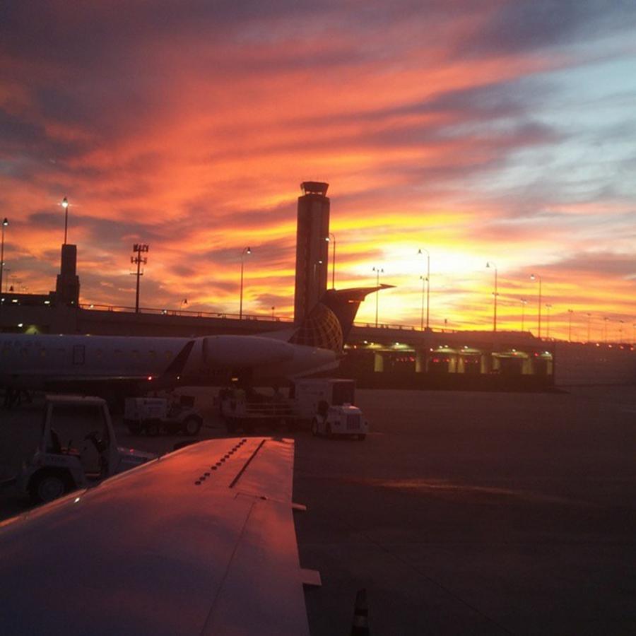 Landed! Photograph by Jeannie Marie Sloan - Fine Art America