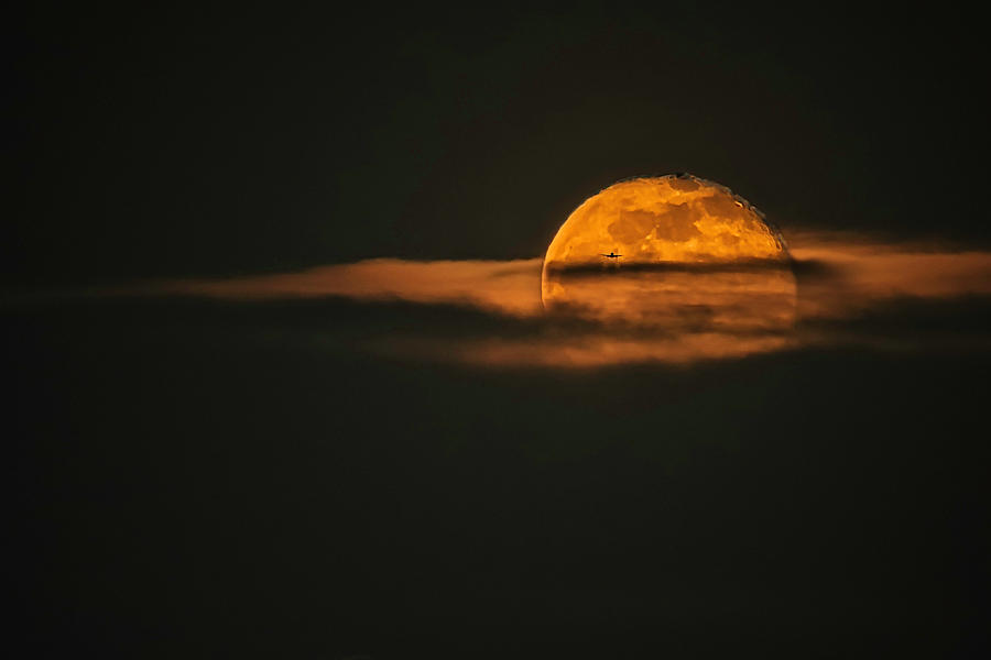 Landing on Full Moon Photograph by Eduard Moldoveanu