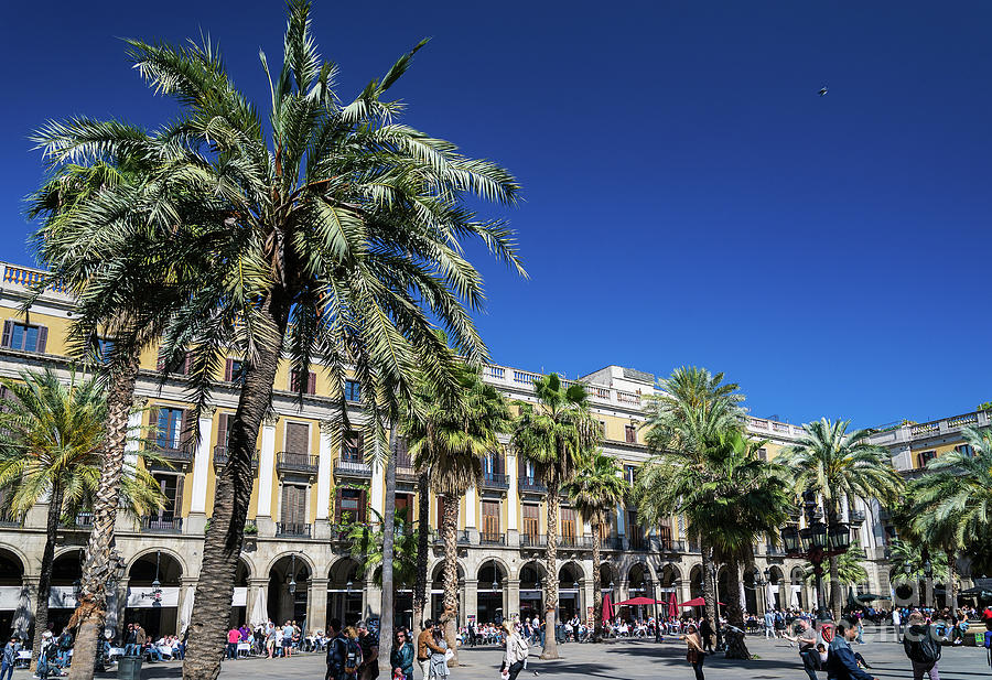 Landmark Plaza Real Square In Central Barcelona City Spain Photograph by JM Travel Photography