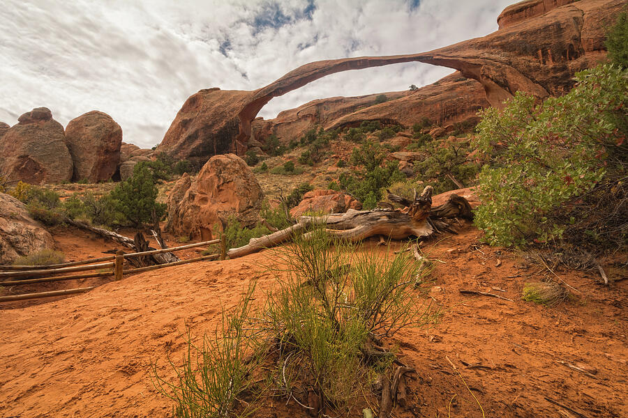 Landscape Arch Perspectives Photograph by Angelo Marcialis