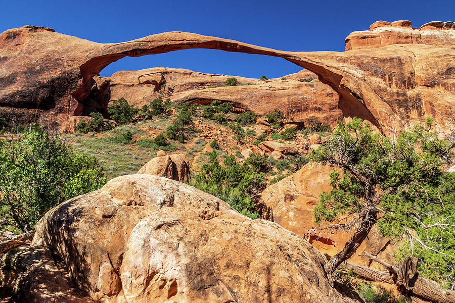 Landscape Arch Photograph by Peter Tellone