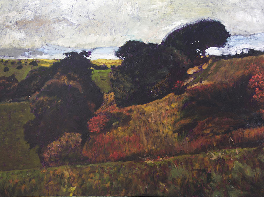 Landscape at Rhug Painting by Harry Robertson