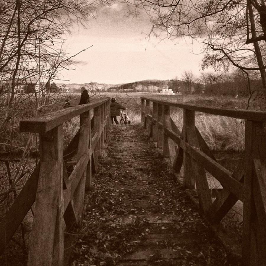Bridge Photograph - #landscape #bridge #family #tree by Mandy Tabatt
