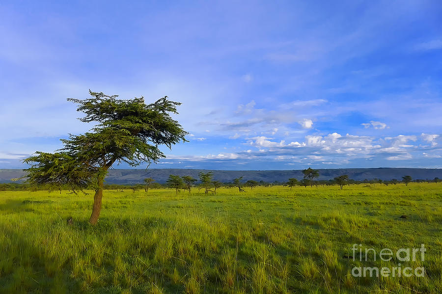 Tree Photograph - Landscape by Charuhas Images