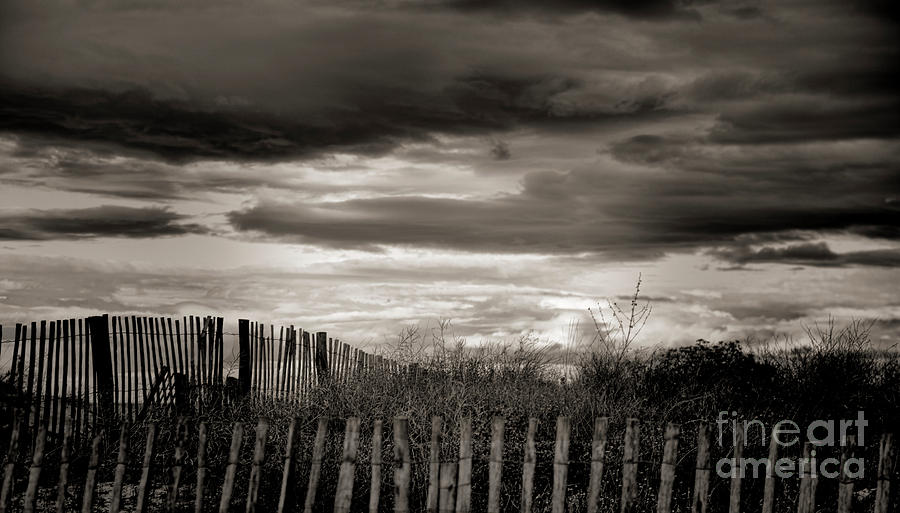 Landscape Deep Sepia Tones Picket Fence Canet France  Photograph by Chuck Kuhn