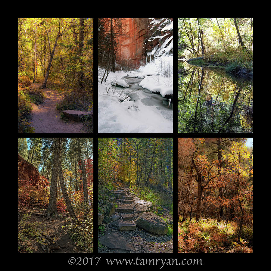 Landscape Fall Color Collage 2 Photograph by Tam Ryan