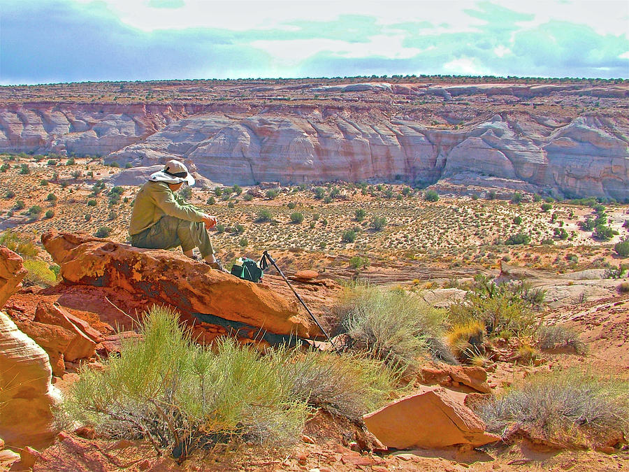 Landscape from Birthday Arch off Highway 89 North, Utah Photograph by Ruth Hager