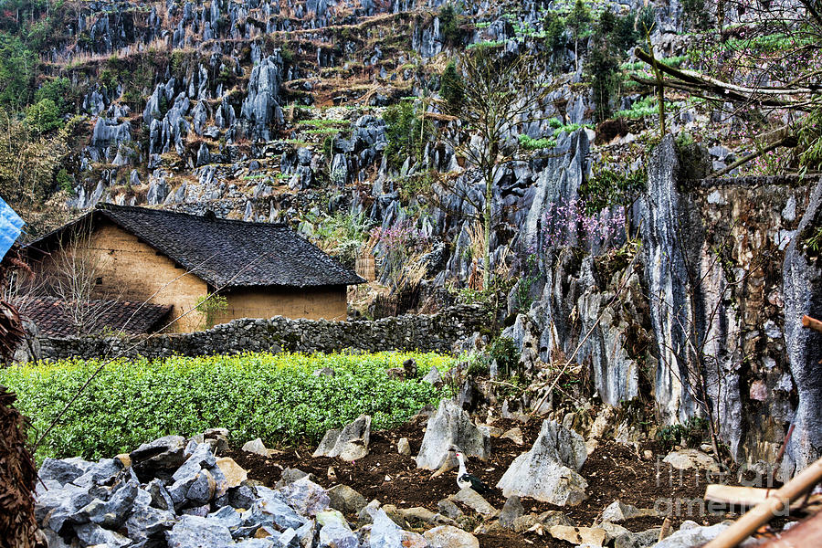Landscape Hills Mountain Vietnam  Photograph by Chuck Kuhn