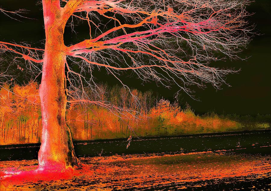 Tree Photograph - Landscape in Black and Red by Slawek Aniol