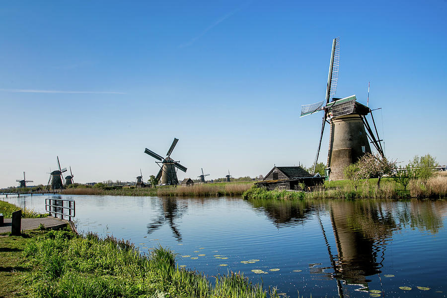 Landscape in Kinderdijk Photograph by Lisa Lemmons-Powers - Fine Art ...