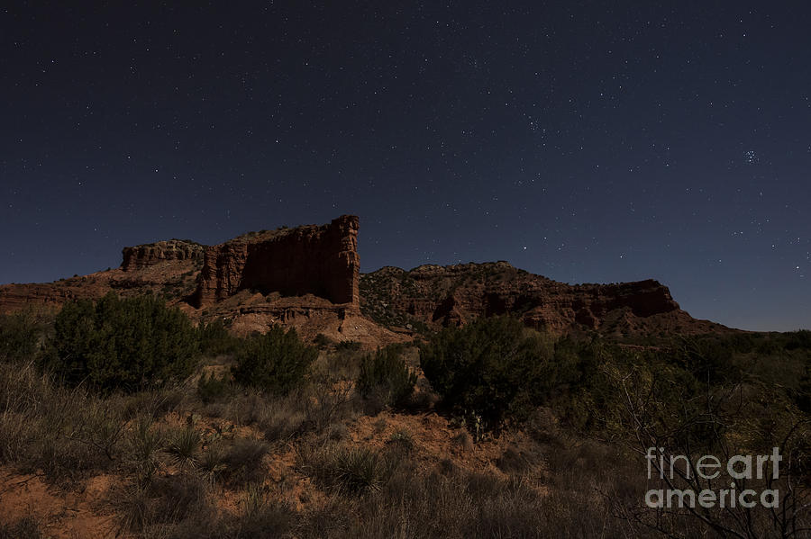 American Landmark Photograph - Landscape in the Moonlight by Melany Sarafis