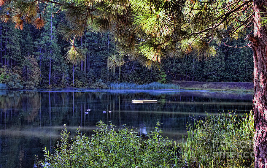 Landscape Lake California  Photograph by Chuck Kuhn