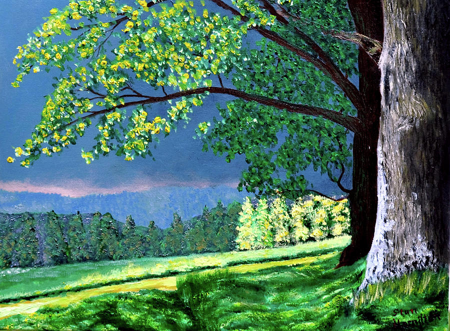 Landscape Light Painting by Stan Hamilton