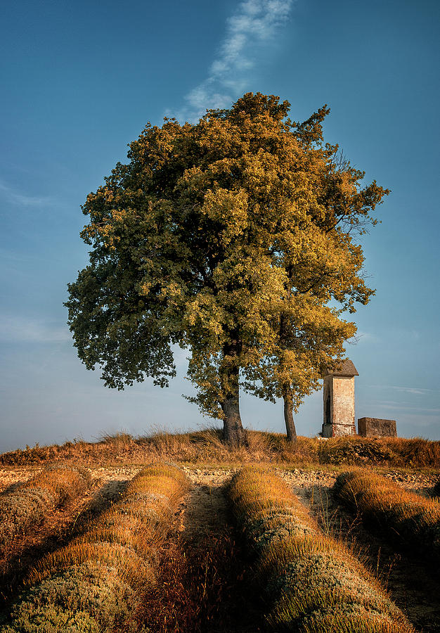 Landscape Photograph by Livio Ferrari