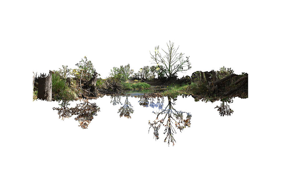 Landscape Minimalism by Michael Colgate Landscape Minimalism by Michael Colgate