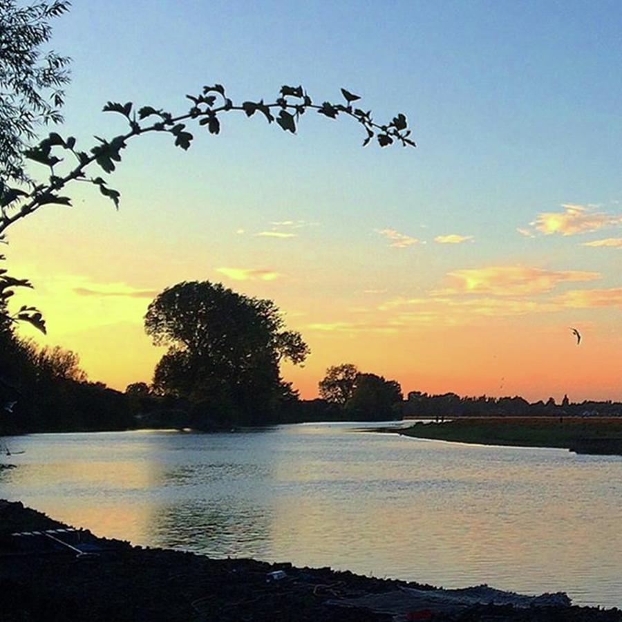 Nature Photograph - Portmeadow Sunset by Katie Greenwood