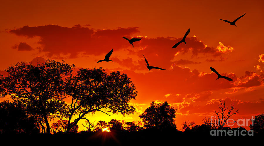 Landscape of Africa with warm sunset Photograph by Anna Om