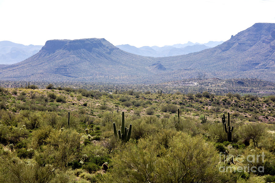 Landscape of Arizona Photograph by Felix Lai