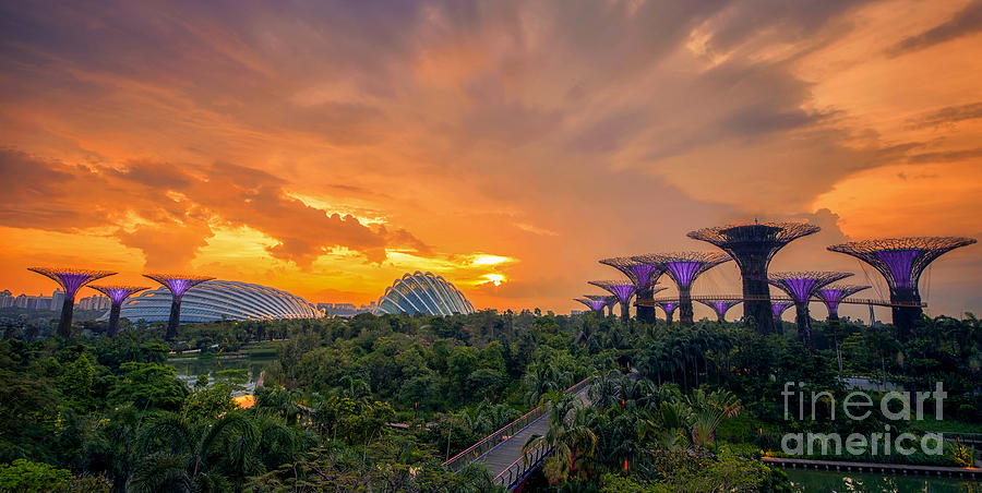 Landscape of the Singapore with the garden by the bay Photograph by Anek Suwannaphoom