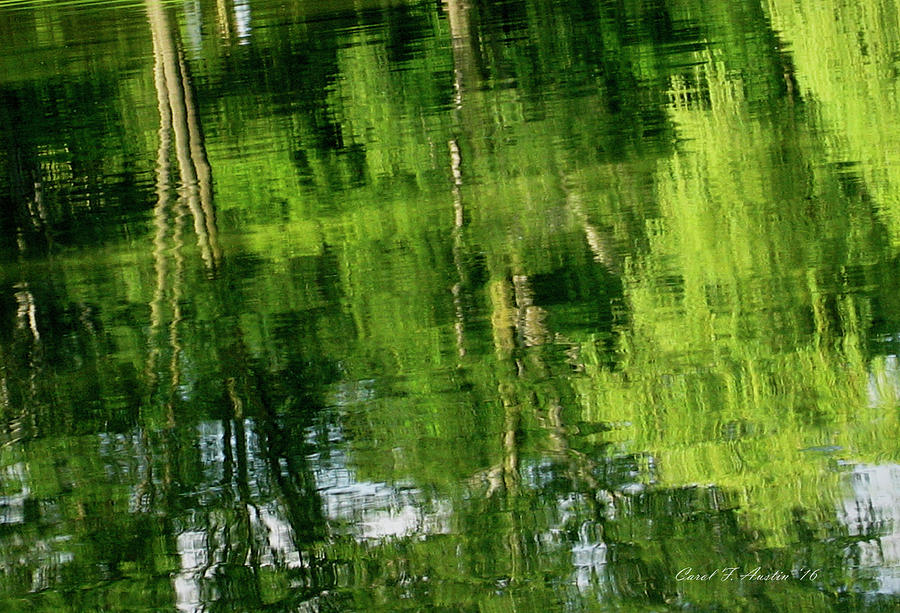 Green Tree Landscape Reflections Wall Art Photograph by Carol F Austin