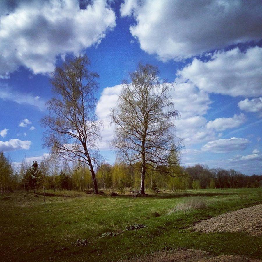 Spring Photograph - #landscape #spring by Olga Strogonova