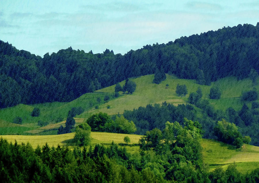 Landscape. Top view of the Black Forest, Germany. Photograph by Gerlya