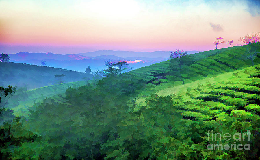 Landscape Vietnam Paint  Photograph by Chuck Kuhn
