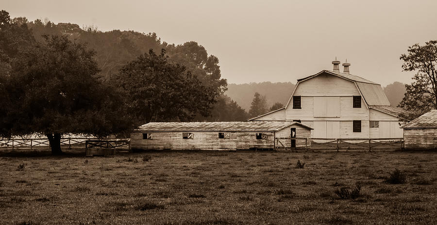 Landscape View Of A Cow Farm Ranch In Fog Photograph by Alex Grichenko