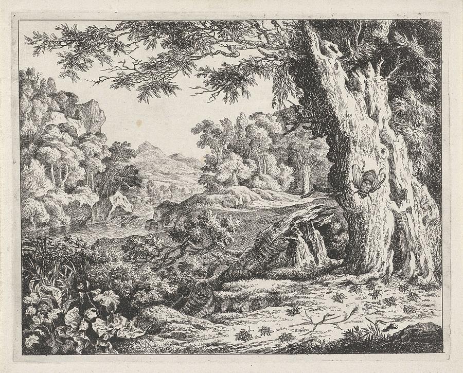 Landscape With Ants And Bees, Johan Le Ducq, 1639 - 1677 Painting
