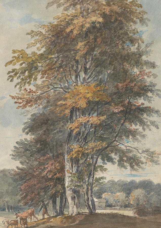 Landscape with Beech Trees and Man Driving Cattle and Sheep Painting by Paul Sandby